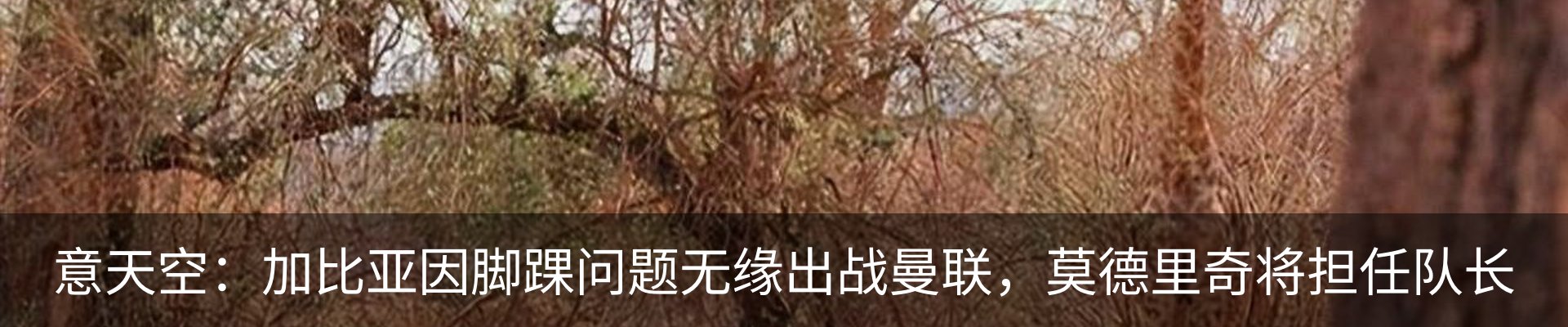 新闻中心